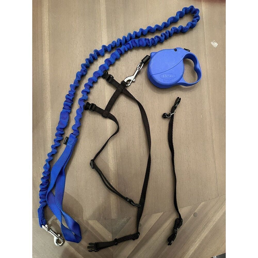Retractable Leash, Bungee, Harness, Collar Small Dog or Cat  Blue/black flexi mi